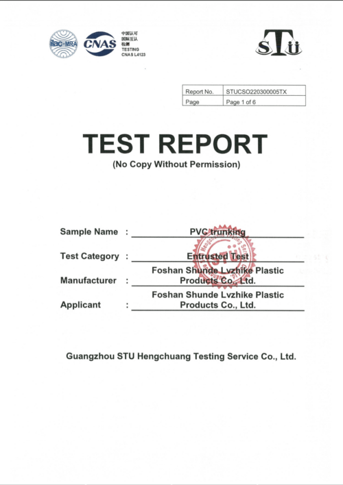 BUGGIE RoHS iecPVC trunking